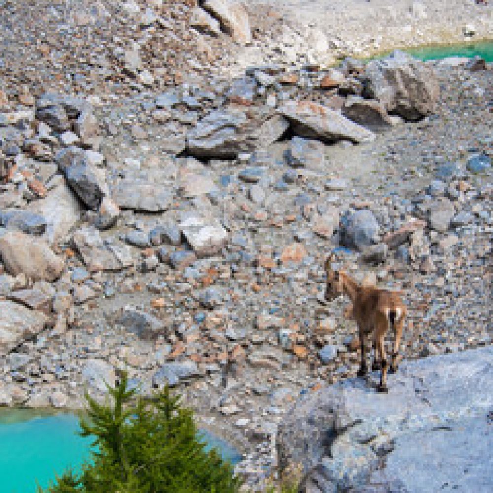 Monts Tatras (3)